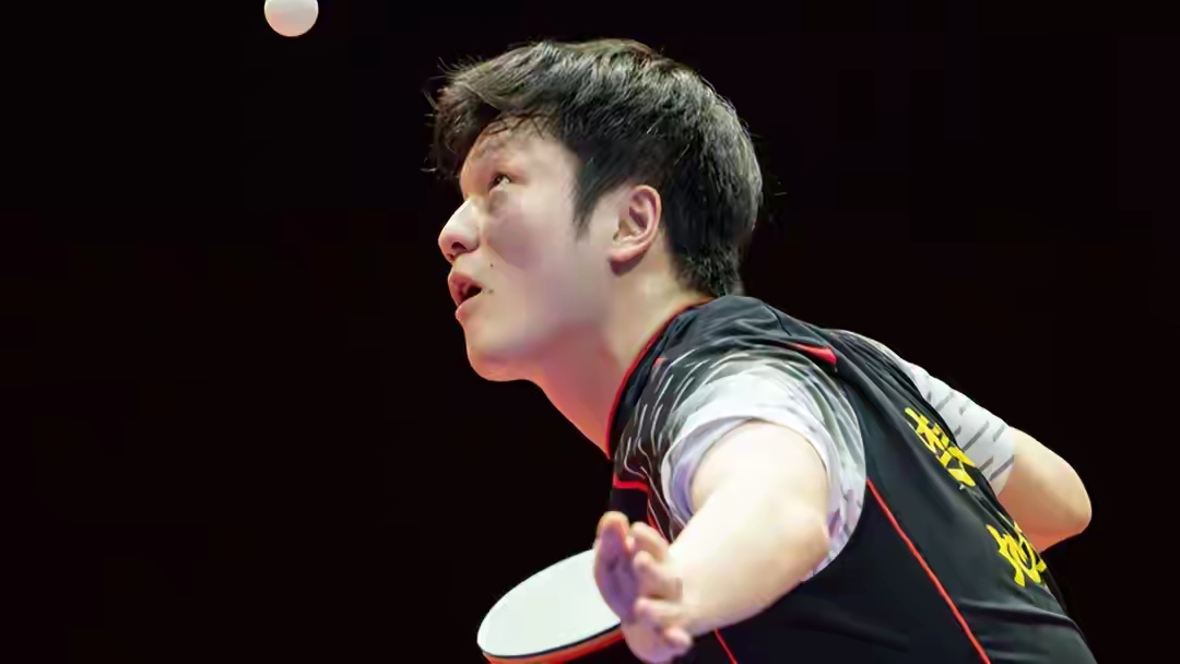 德国乒乓球队血洗韩国乒乓球队,樊振东惊艳世界 德国乒乓球队血洗韩国乒乓球队,樊振东惊艳世界
