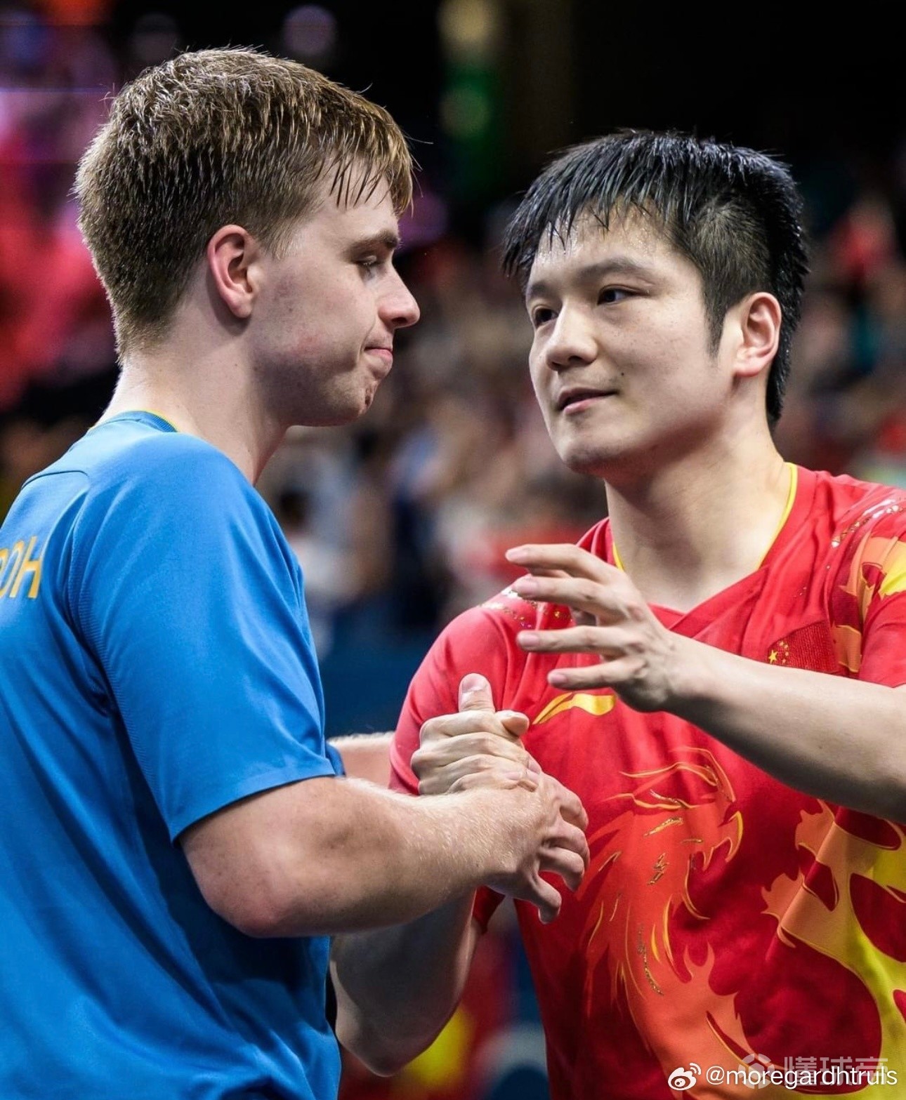 瑞典乒乓球队强势法国乒乓球队，樊振东惊艳世界