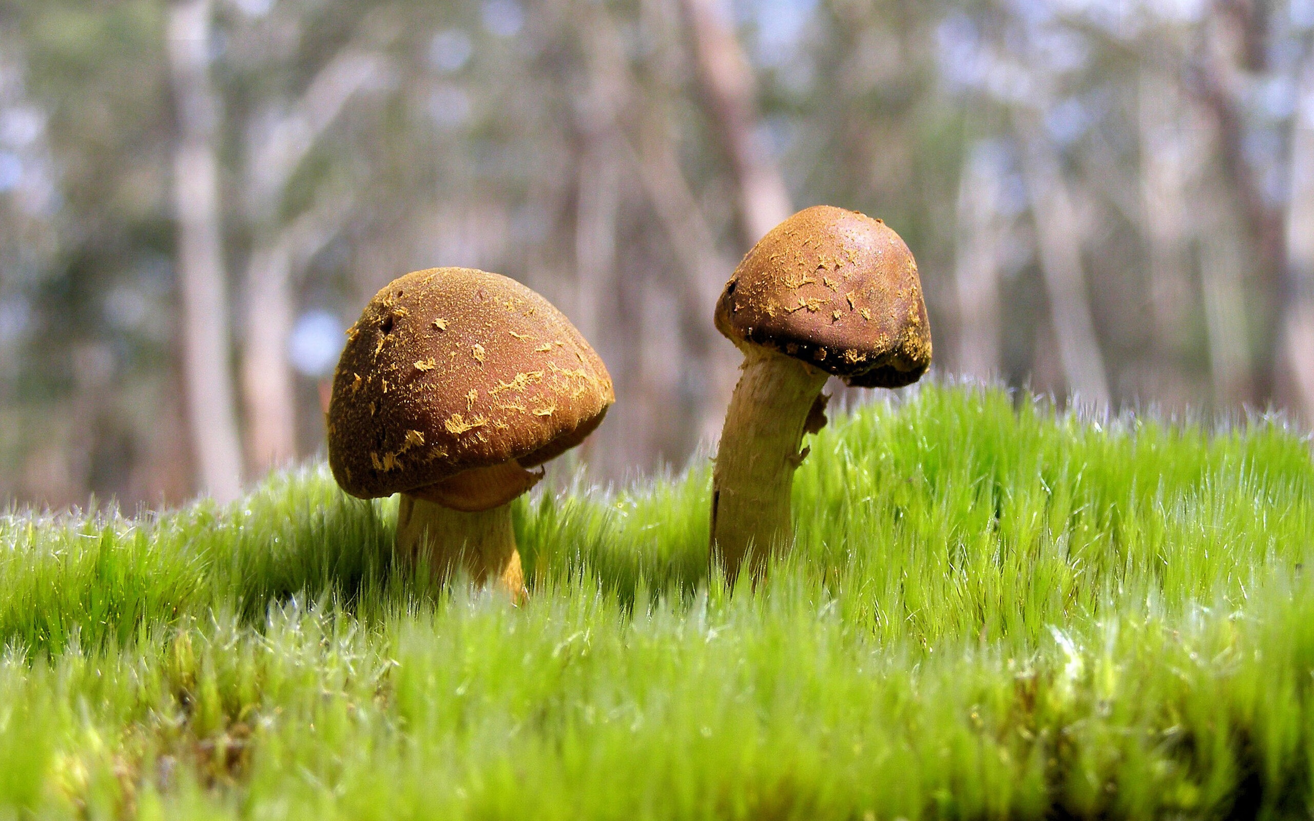 2026世界杯焦点战前瞻,当太阳打穿雷霆—战术革新与时代对决